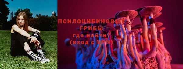 шишки Кукмор