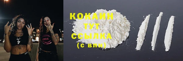 шишки Кукмор