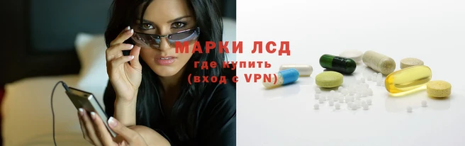 шишки Кукмор