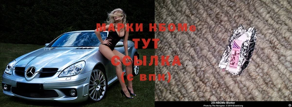 шишки Кукмор