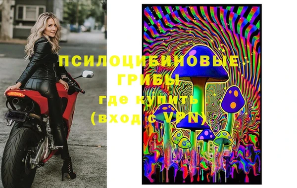 индика Куйбышев