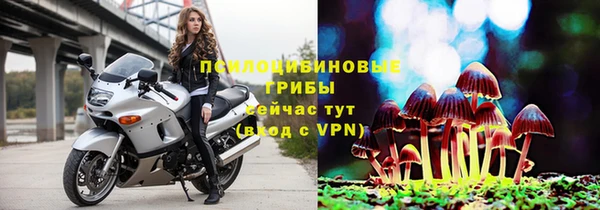 шишки Кукмор