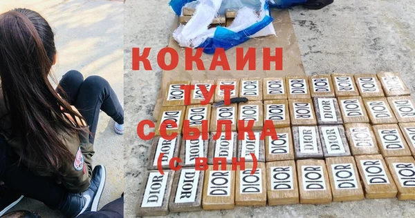 индика Куйбышев
