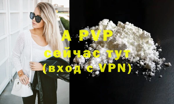 шишки Кукмор