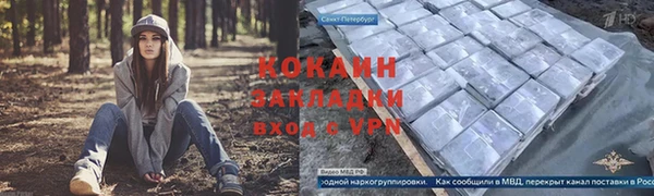 индика Куйбышев
